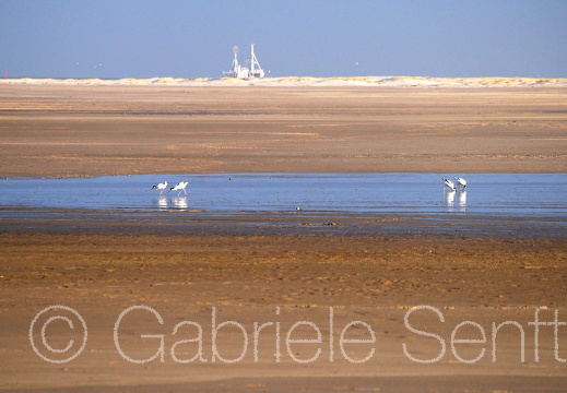 März 2009 Amrum