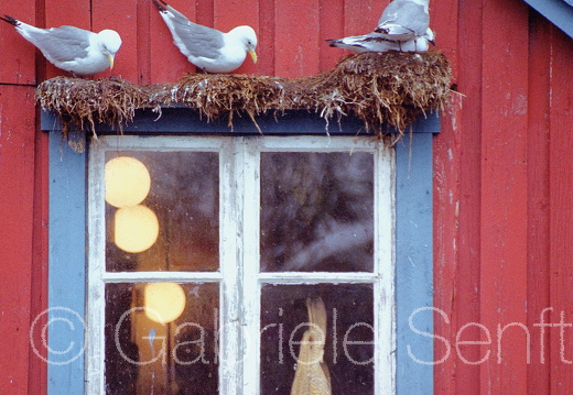 2001 Sommer in Norwegen