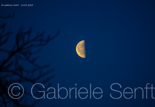 22.03.2025 Mond kurz vor Sonnenaufgang