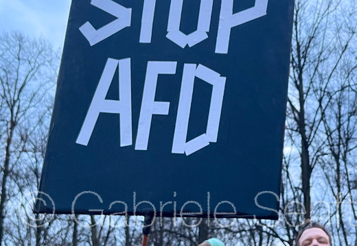 25.01.2025 Kundgebung am Brandenburger Tor gegen die AfD