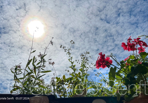 05.07.2024  Balkonblick