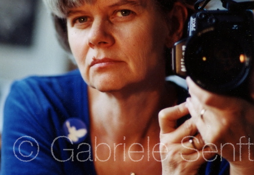 2003 
