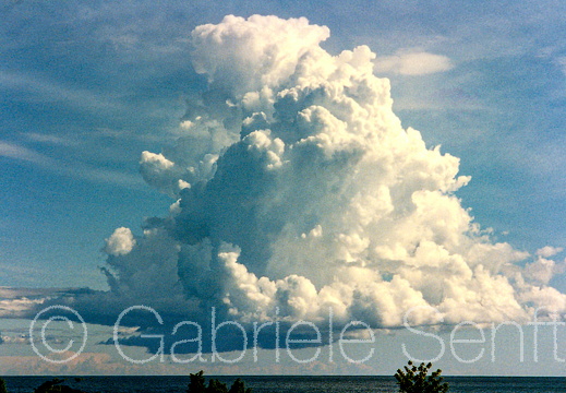 1991 Gotland.  Wolke
