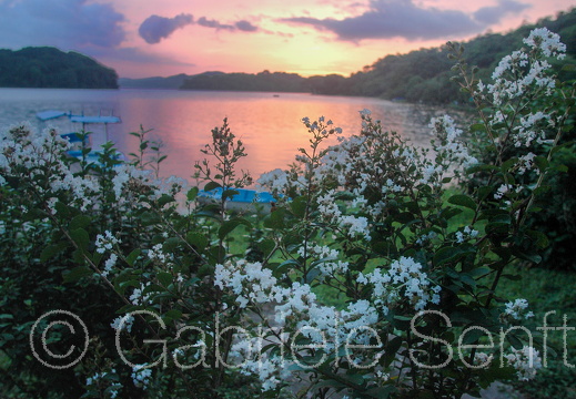 2008-07-26-01-12-00 1