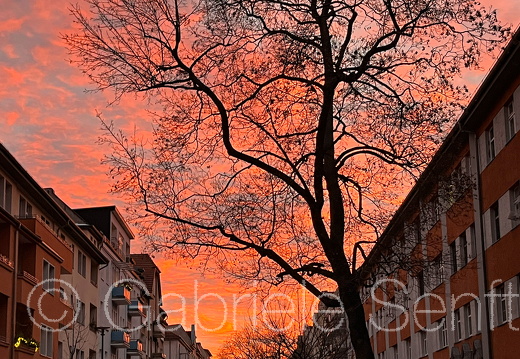 2025 01 13 Himmel IMG 7895 Kopie