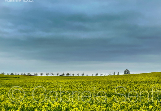 2025 04 18 OsternIMG 9042