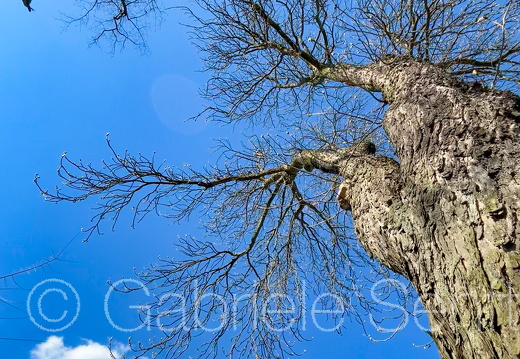 2025_04_04 Himmel in Köpenick