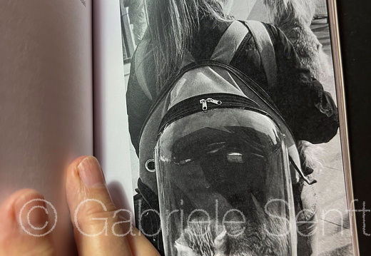 11.11.2025 Ukrainisches Buch 