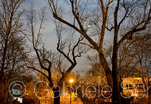 02.01.2026 unterwegs in Berlin Köpenick