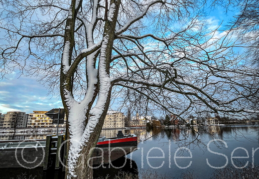 05.01.2026 an der Spree in Berlin Köpenick 
