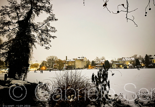 12.01.2026 Winter im Schloßpark Berlin Köpenick