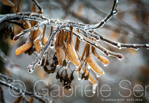 20260126-15-14-59-Bearbeitet