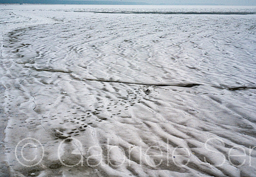 11.02.2026 Prerow, an der See
