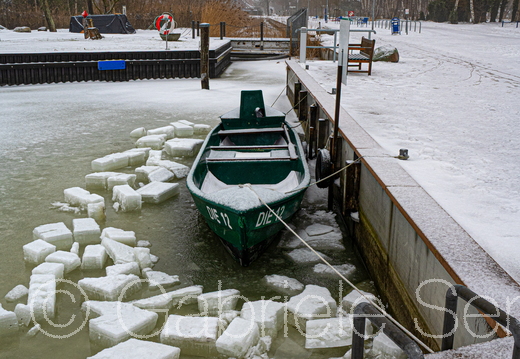 11.02.2026 Dierhagen, am Hafen