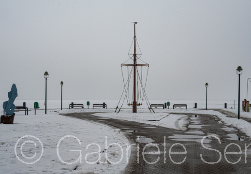 11.02.2025 Darß, am Bodden